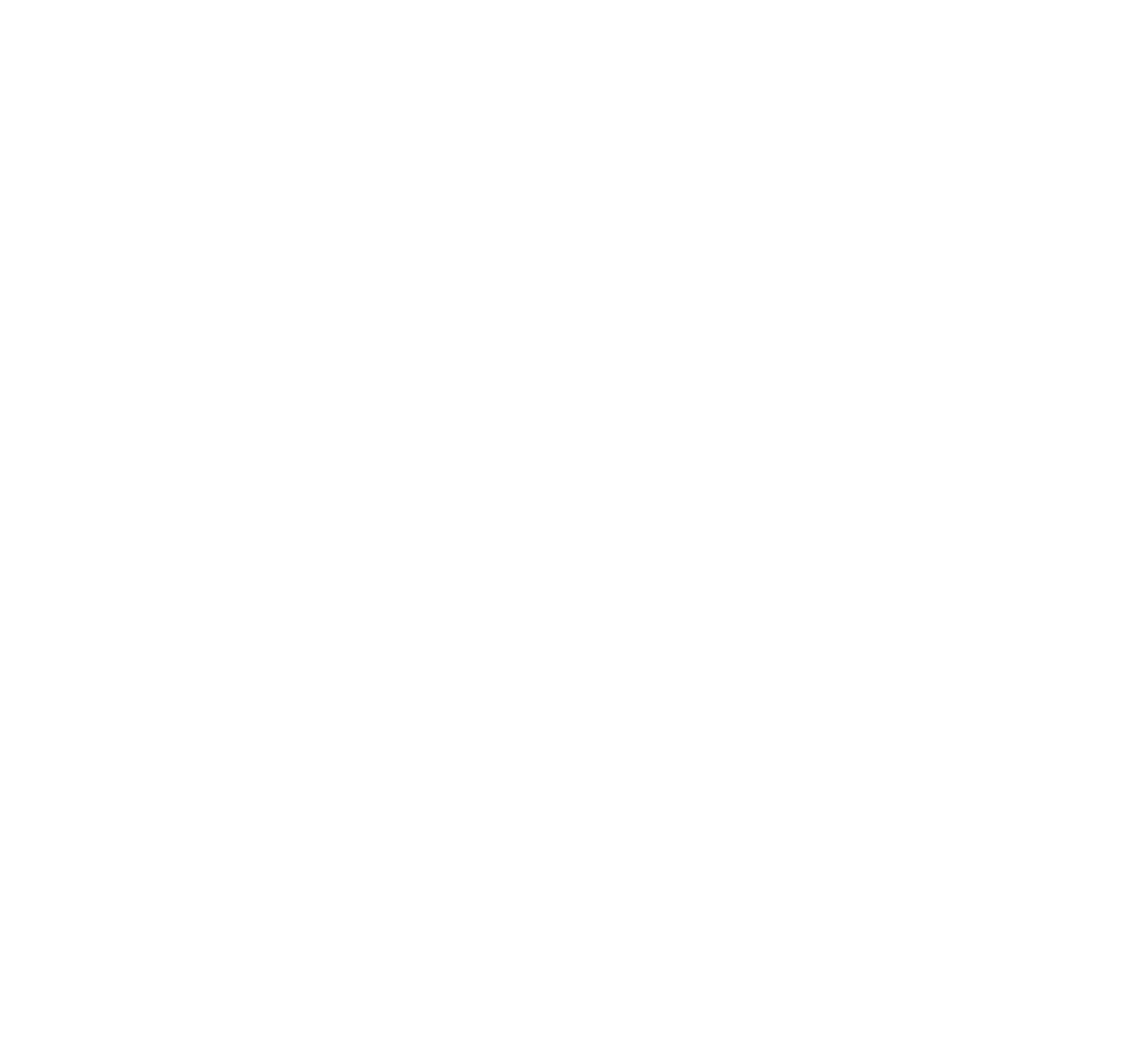 Projekt Larmo